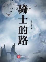 骑士的路章节列表