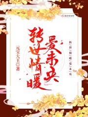 转世情暖爱未央章节列表
