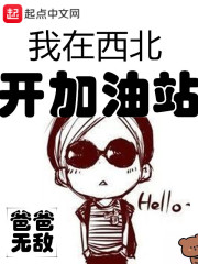 我在西北开加油站章节列表