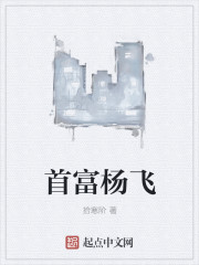 首富杨飞章节列表
