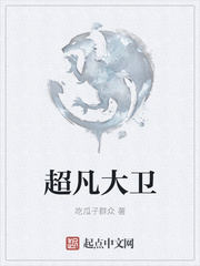 超凡大卫章节列表