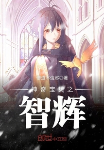 神奇宝贝之智辉章节列表