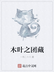 木叶之团藏章节列表