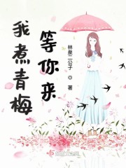 我煮青梅等你来章节列表