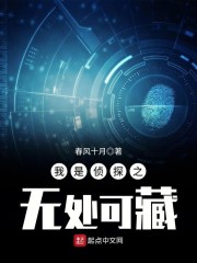 我是侦探之无处可藏章节列表
