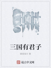 三国有君子章节列表