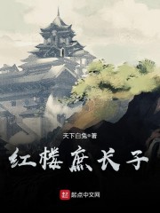 红楼庶长子章节列表