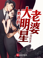 奶爸的大明星老婆章节列表