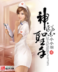 神医圣手章节列表