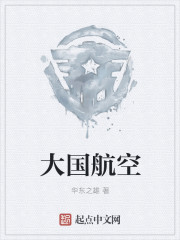 大国航空章节列表