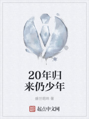 20年归来仍少年章节列表