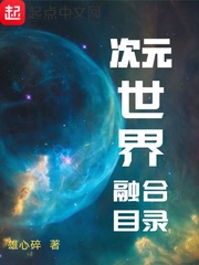 次元世界融合目录章节列表