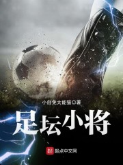 足坛小将章节列表