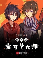 精灵之宝可梦大师章节列表
