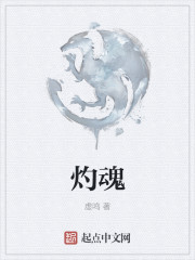 灼魂之血章节列表