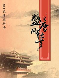 盛唐风华章节列表