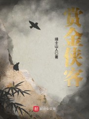 赏金侠客章节列表