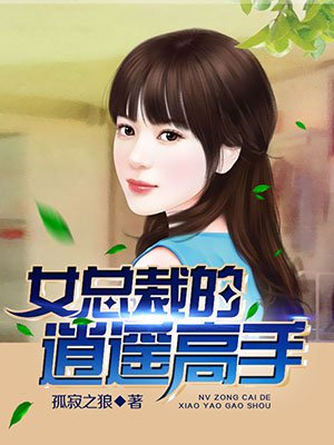 女总裁的逍遥高手章节列表