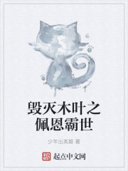 毁灭木叶之佩恩霸世章节列表