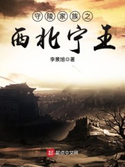 西北宁王江川传章节列表