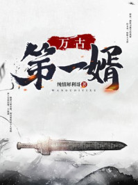万古第一婿章节列表