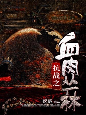 抗战之血肉丛林章节列表