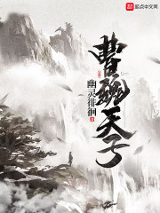曹魏天子章节列表