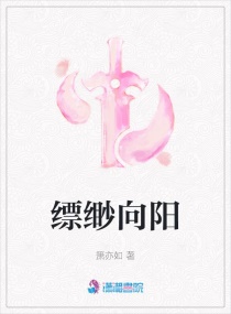 缥缈向阳章节列表