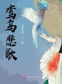 鸾鸟悲歌章节列表