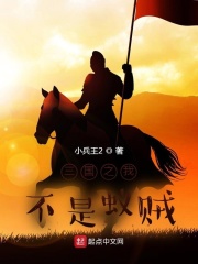 三国之我不是蚁贼章节列表