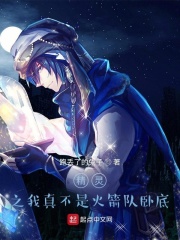 精灵之我真不是火箭队卧底章节列表