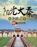 阳光大秦章节列表