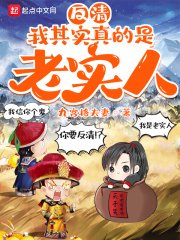反清：我其实真的是老实人章节列表
