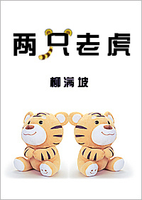 两只老虎章节列表