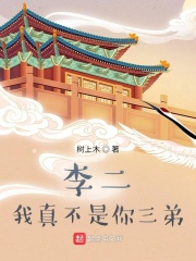 家兄李世民章节列表