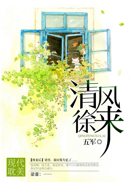 清风徐来章节列表