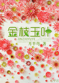 金枝玉叶章节列表