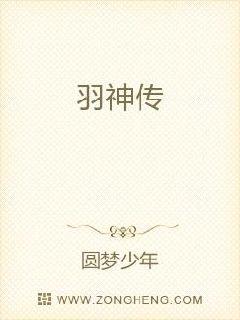 羽神传章节列表