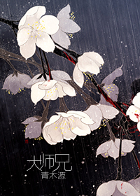 大师兄章节列表
