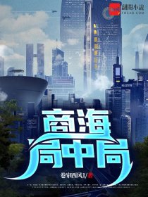 商海局中局章节列表