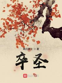 卒圣章节列表