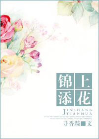 锦上添花章节列表