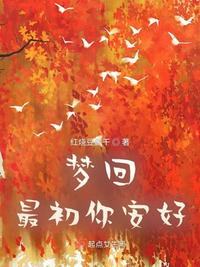 梦回最初你安好章节列表