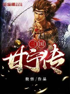 三国甘宁传章节列表