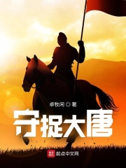 守捉大唐章节列表