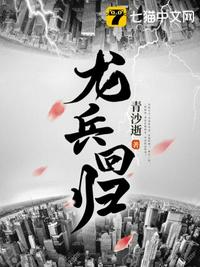龙兵回归章节列表