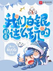 我们白银都是这么玩的章节列表
