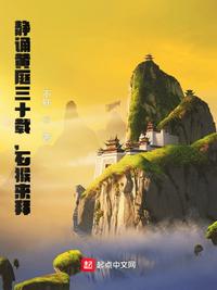 静诵黄庭三十载，石猴来拜章节列表