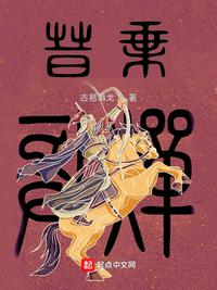 晋乘章节列表