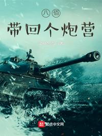 八佰：带回个炮营章节列表